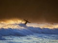 Surfer at Carnivan