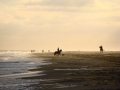 An early morning gallop